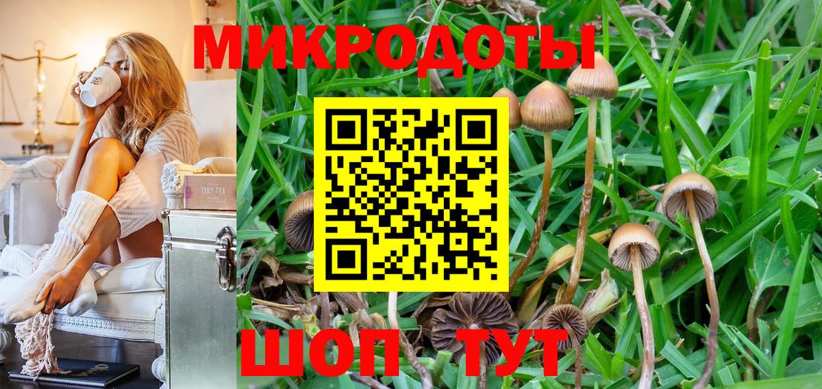 Красный Сулин  Галлюциногенные грибы прущие грибы  Псилоцибиновые грибы прущие грибы  Вход с VPN 